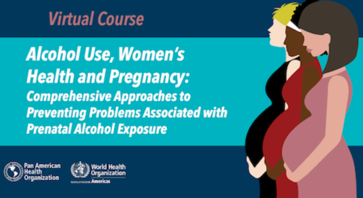 Alcohol Use Womens Health And Pregnancy Comprehensive Approaches To Preventing Problems 