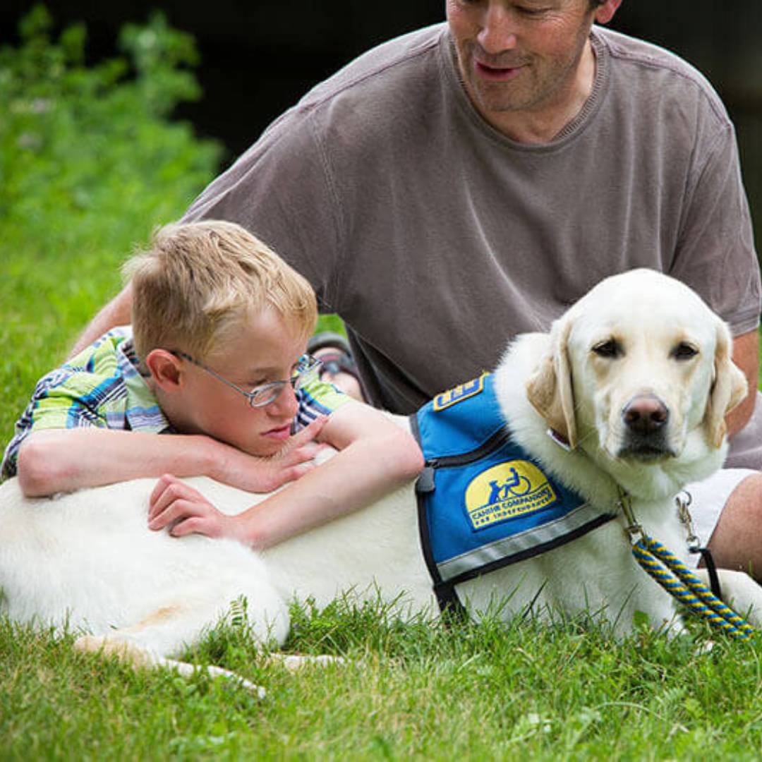 A young boy with his labrador service dog